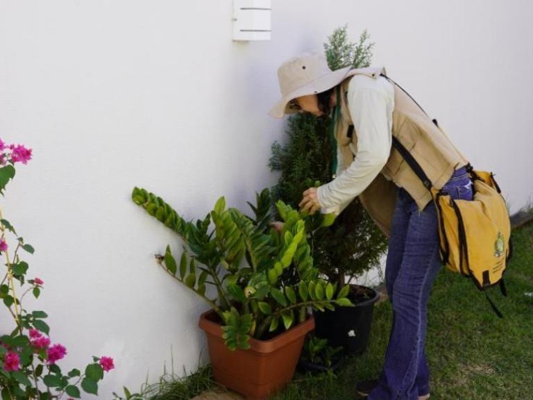 Saúde ressalta a importância da colaboração da população no combate ao Aedes aegypti