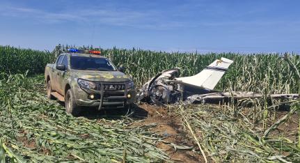 Meia tonelada de cocaína é achada perto de avião em chamas