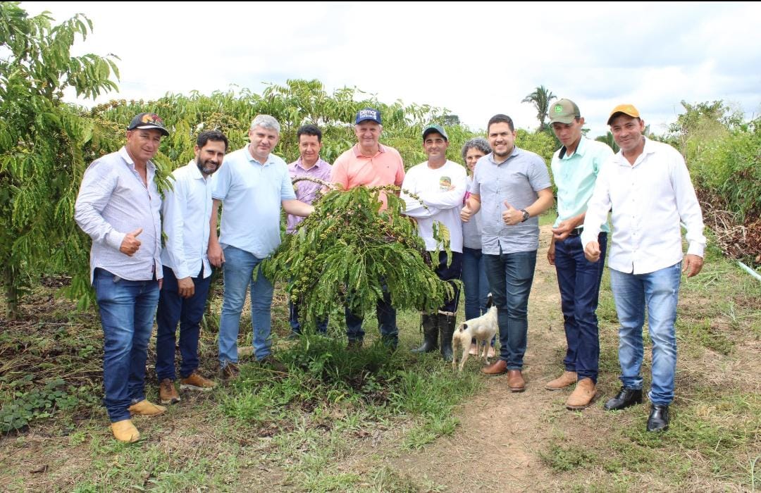 Acafemat entra com tecnologia e desenvolvimento para impulsionar a cadeia do café em Mato Grosso