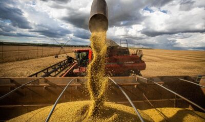 BNDES lança linha de crédito de R$ 10 bilhões para impulsionar o agronegócio