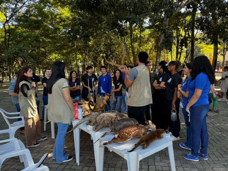 Começa Semana do Meio Ambiente com várias atividades e programação voltada à educação ambiental e sustentabilidade