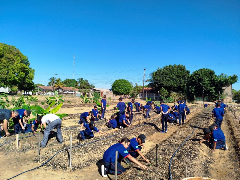 Projeto Luz do Amanhã cultiva horta no pátio da PM e alunos recebem orientações em parceria com a Prefeitura de Sinop