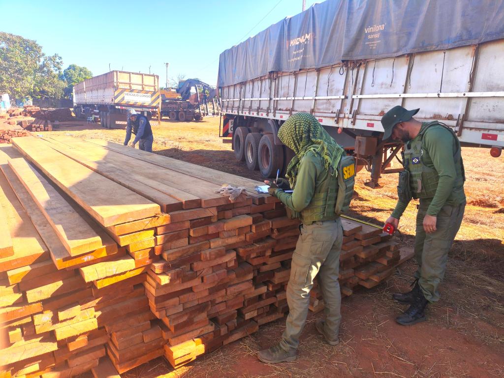 Sema e Policia Militar apreendem carretas com castanheiras durante fiscalização em MT