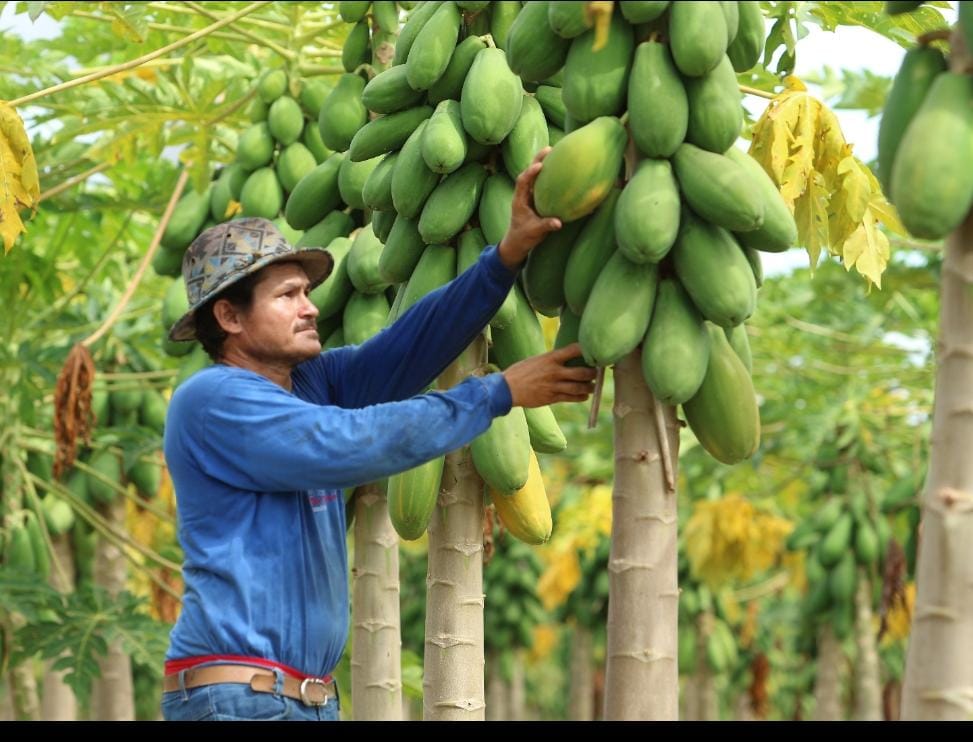 INTERAÇÃO E NEGÓCIOS Primeira edição do Salão do Produtor Rural irá fomentar a agricultura familiar de Sinop