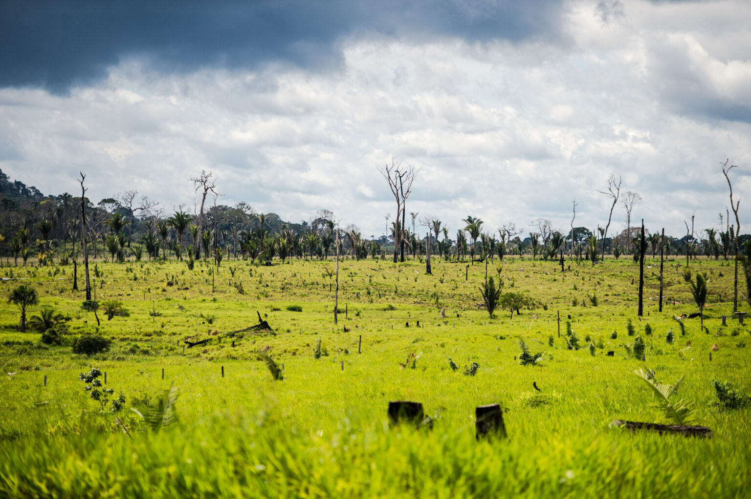 Plano visa transformar 40 milhões de hectares degradados em áreas produtivas