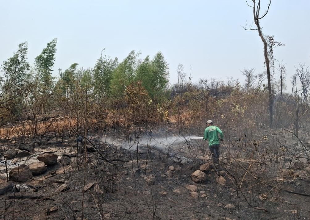 Sinop Energia auxilia comunidades locais no combate a incêndios