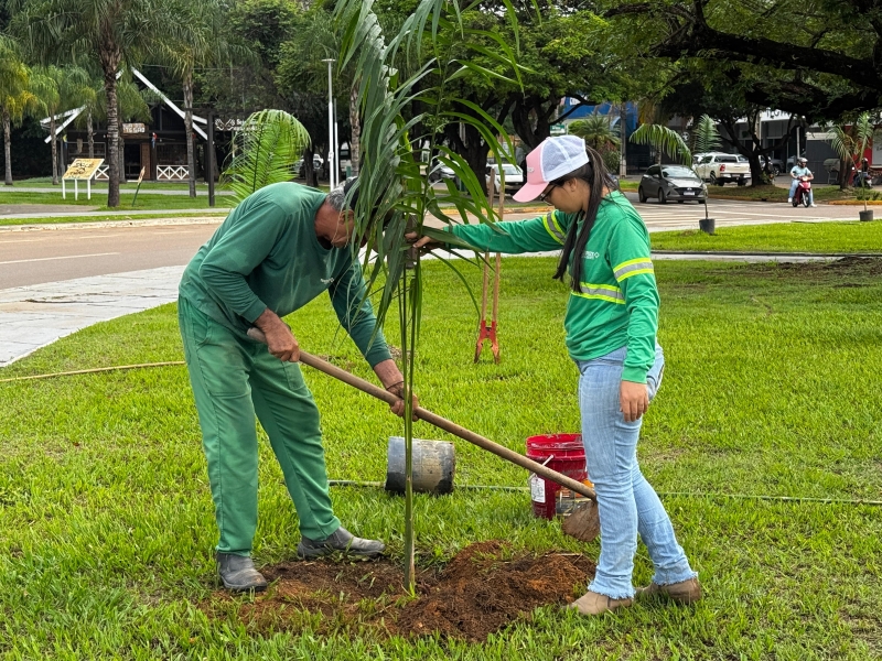 Secretaria de Meio Ambiente prevê plantar mais de 2 mil mudas e está revitalizando ornamentação no centro da cidade