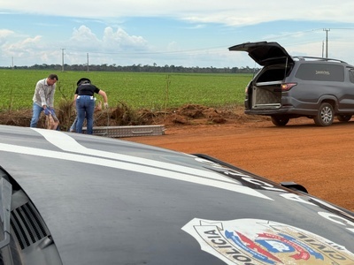 Sinop: Corpo de jovem é encontrado em estrada rural com os pés e as mãos amarrados