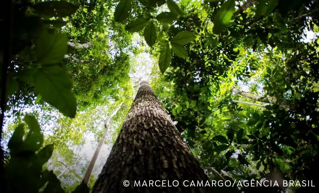 COP29 fecha acordo climático e chefe da ONU critica resultado