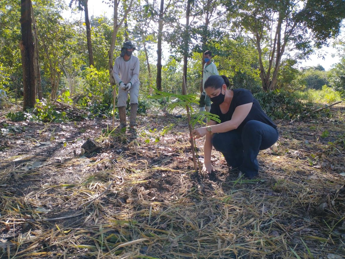 Secretaria de Meio Ambiente planta mudas de árvores nativas para preservar nascente na R-3