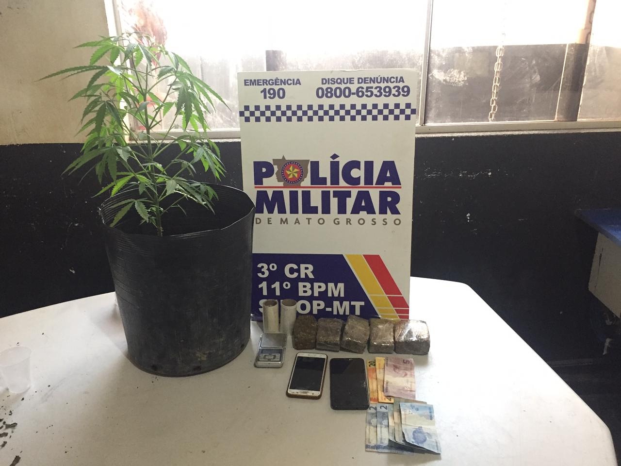 Polícia Militar prende casal com drogas e pé de maconha em Sinop