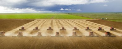 "Barões do campo" lideram recuperações judiciais em cidades de MT