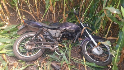 Agentes da Guarda Civil Municipal encontram moto abandonada em milharal