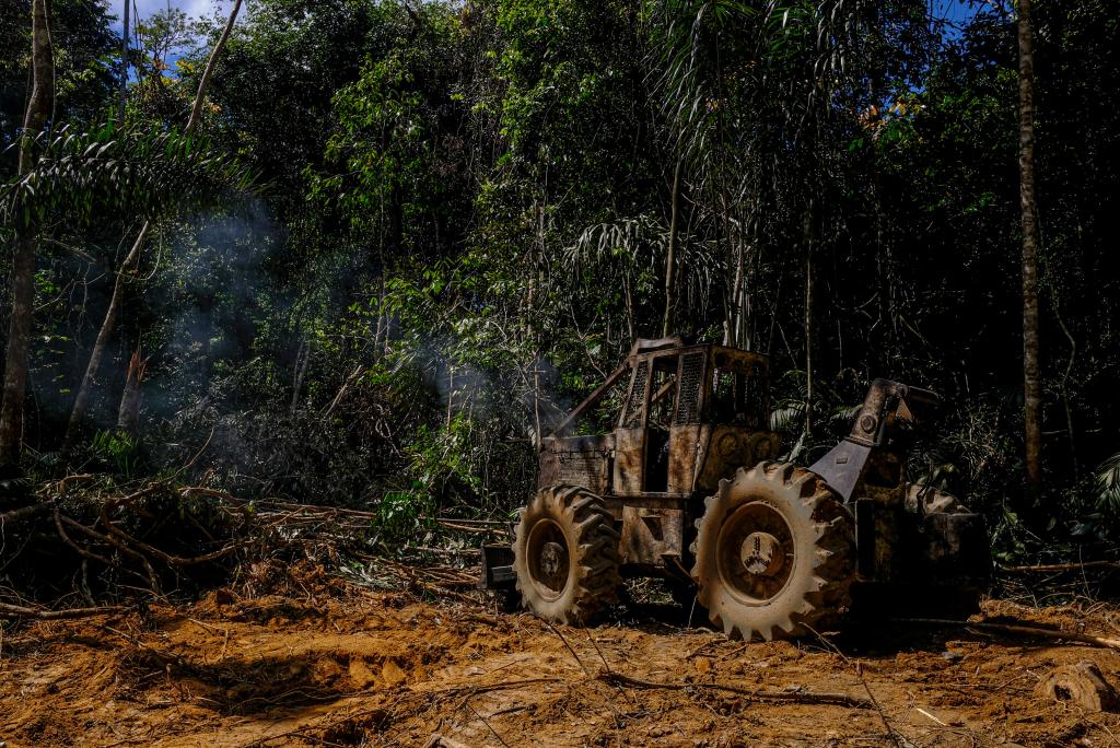 Governador lança mais uma etapa da Operação Amazônia contra crimes ambientais