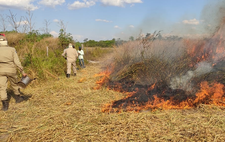 Meio Ambiente monta equipes de brigadistas para atuarem no combate às queimadas