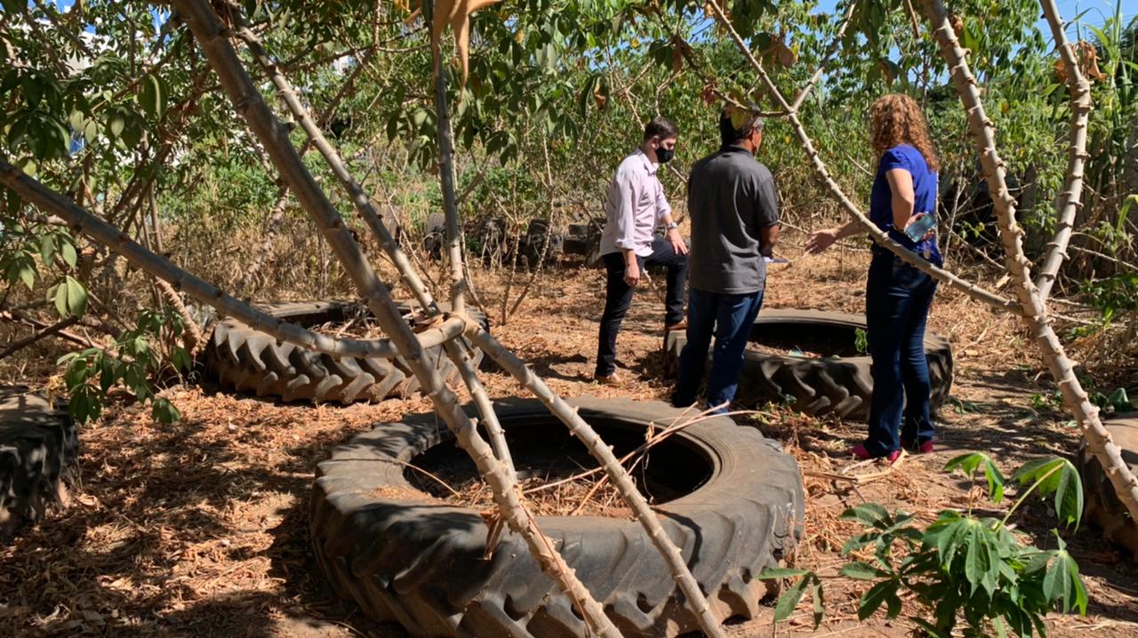 Horta sensorial será implantada na APAE com parceria da Prefeitura de Sinop