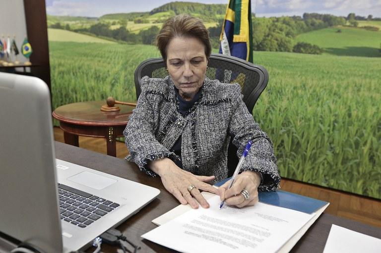 Ministra da Agricultura destaca que todo o país vai ganhar com a construção da 1ª Ferrovia Estadual