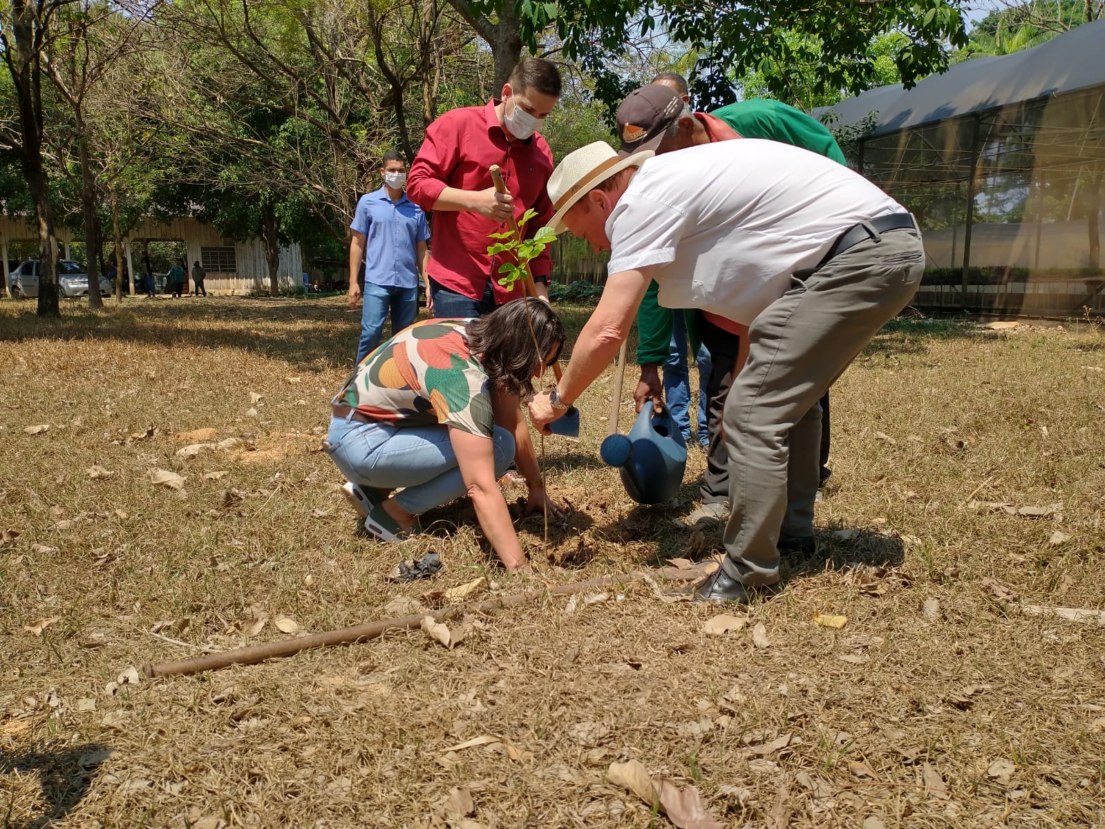 Secretaria destaca cinco benefícios de plantar árvore e preservar o meio ambiente