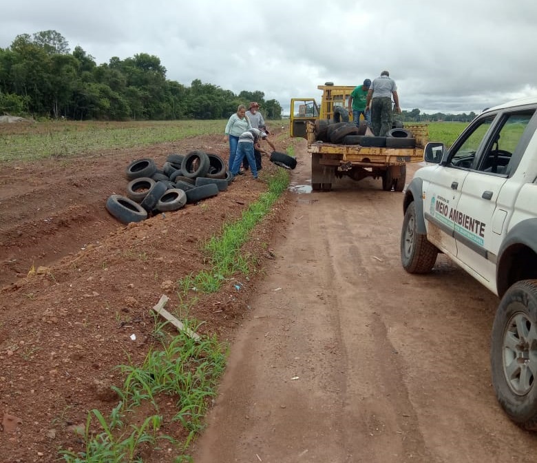 Secretaria faz remoção de pneus descartados irregularmente e alerta para crime ambiental