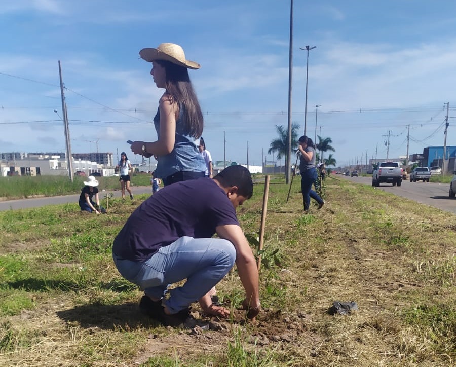 Secretaria arboriza avenida com plantio de 111 mudas de Oiti