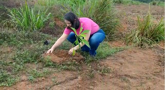 Meio Ambiente realiza plantio de 2 mil mudas de árvores nativas e frutíferas no Nico Bacarat