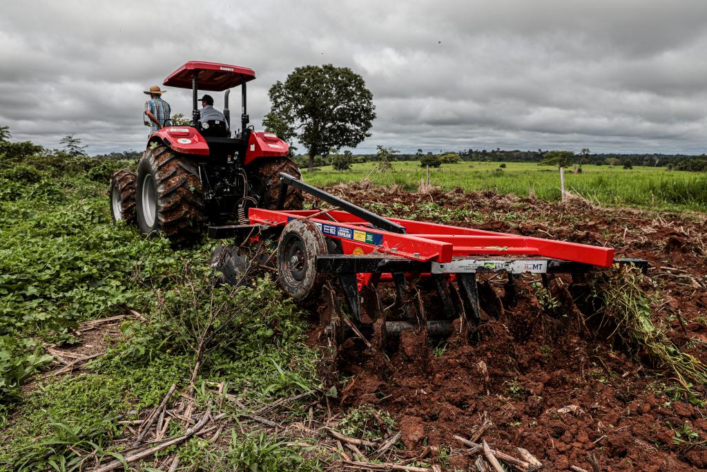 Governo de MT já investiu R$ 168 milhões para fomentar cadeias produtivas da agricultura familiar