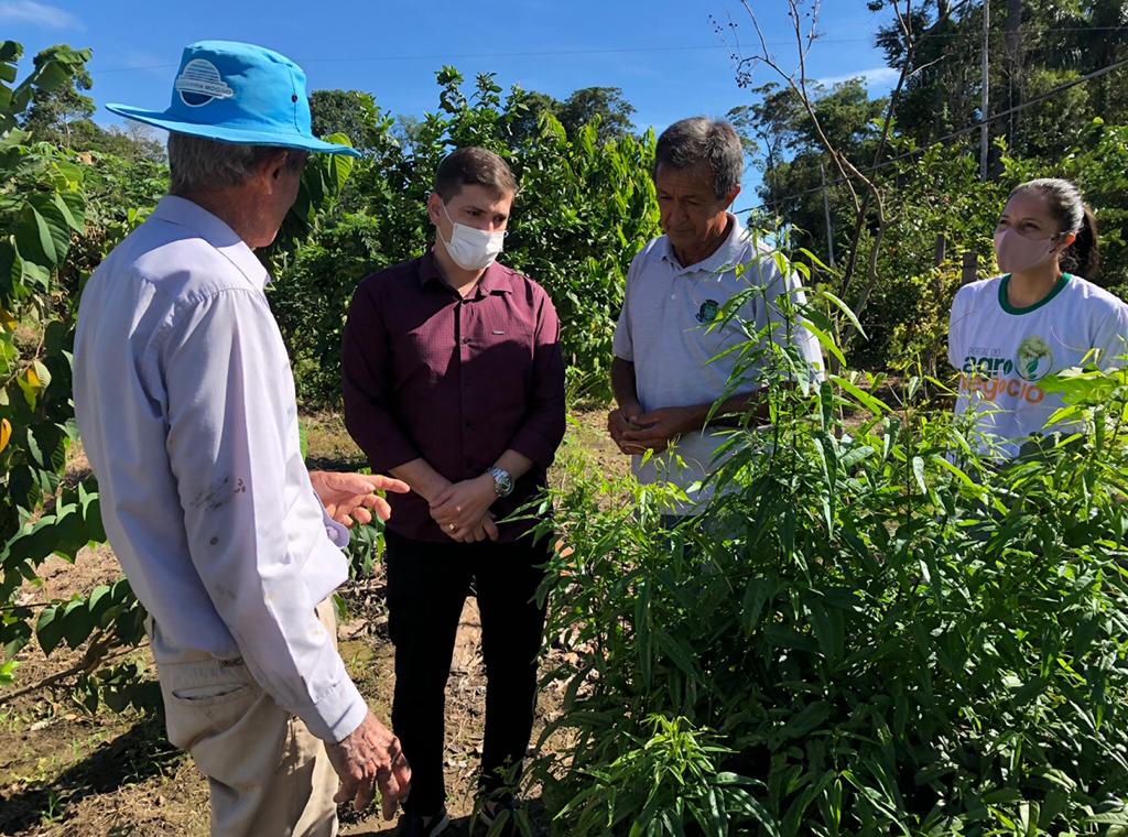 Pequenos produtores comemoram melhor produtividade após ajuda técnica da prefeitura