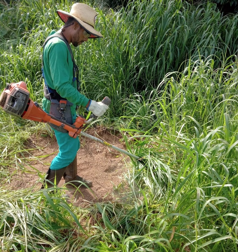 Meio Ambiente reestrutura setor e intensifica fiscalizações de terrenos sujos