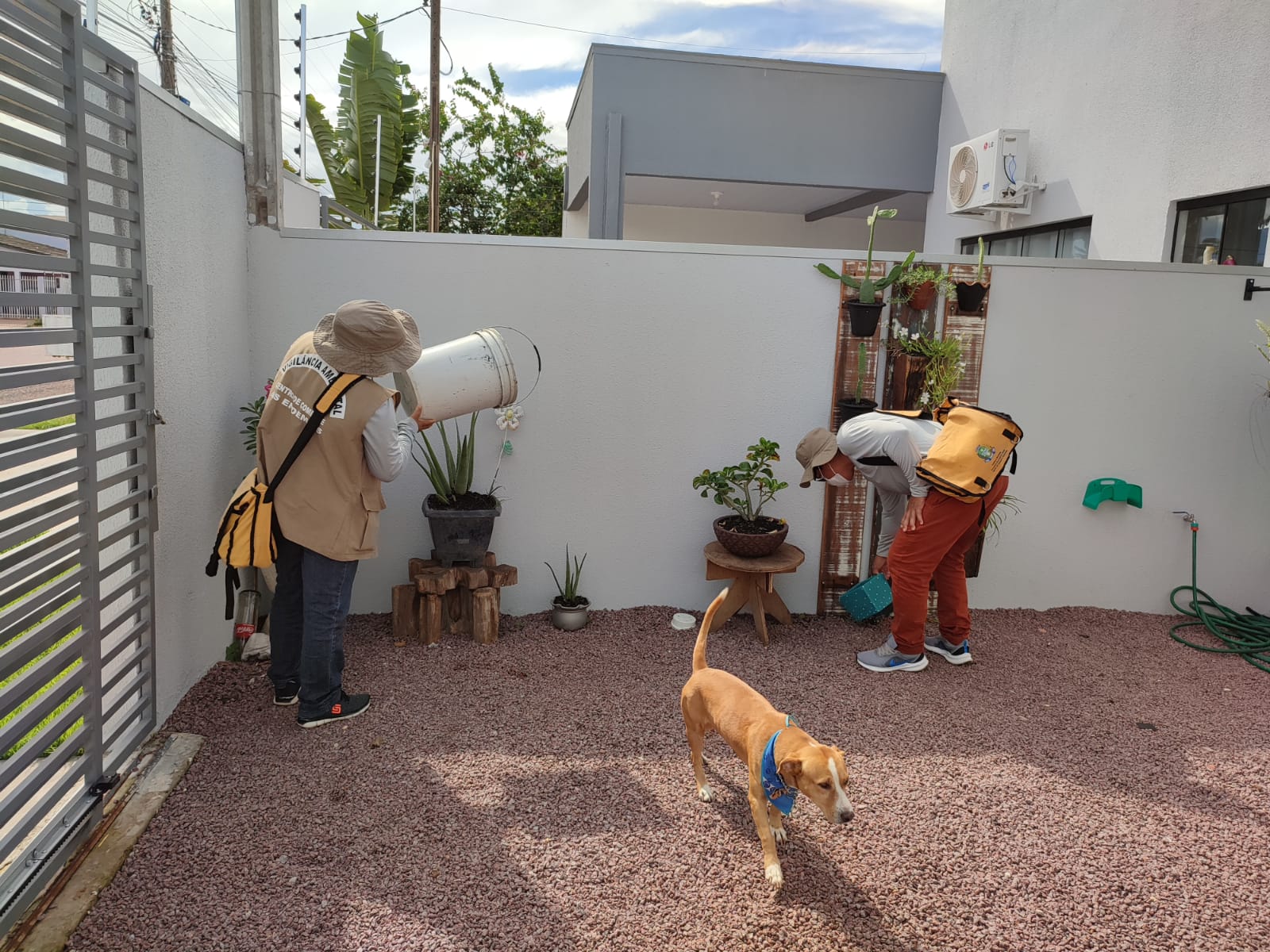 Associação de moradores em Sinop elogia trabalhos da Saúde no combate à dengue