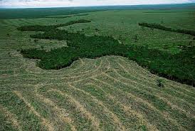 Bancada ruralista quer tirar o Mato Grosso da área da Amazônia Legal