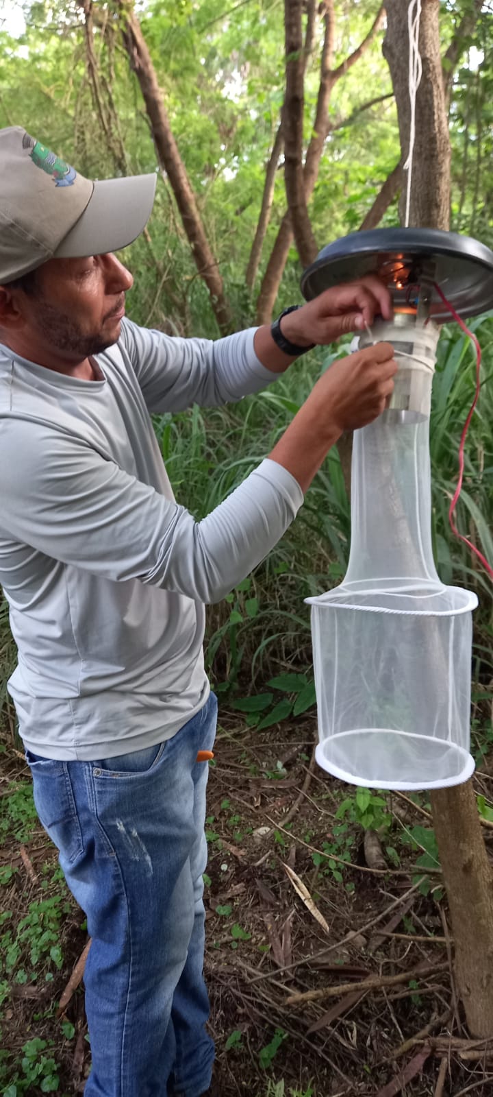 Agentes de combate às endemias fazem coleta de mosquitos para levantamento