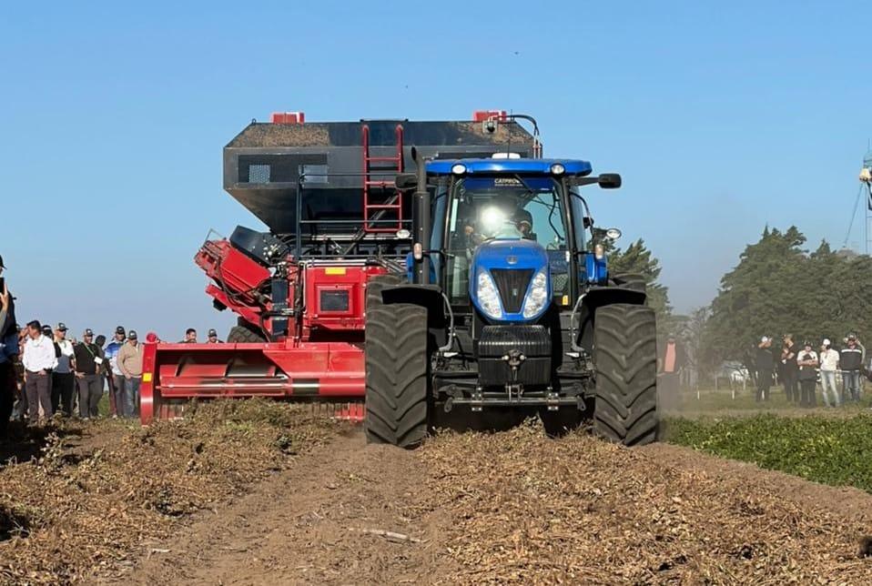 Governo conhece técnicas para fomentar produção de amendoim em MT