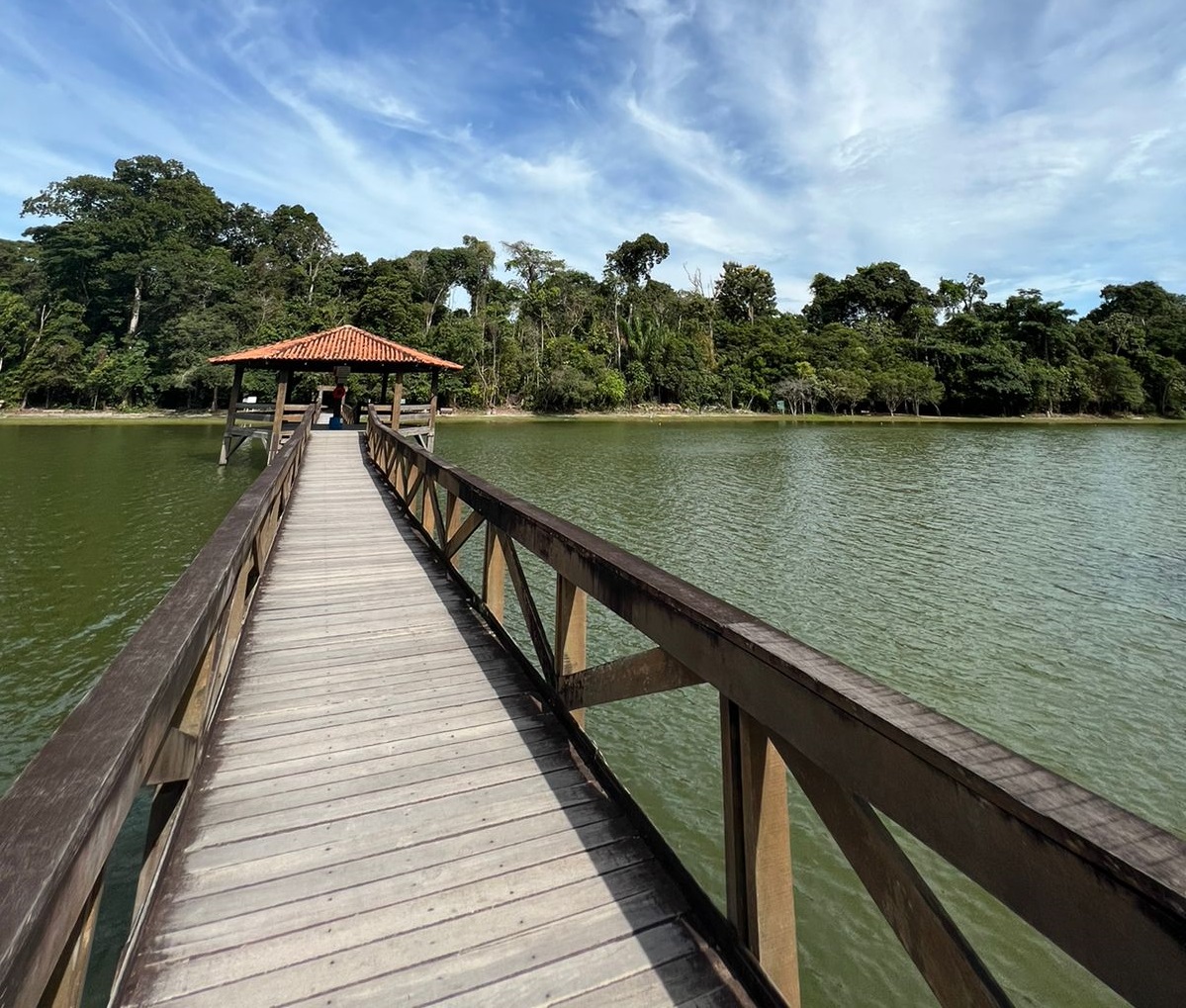 Parque Florestal: exuberância e riqueza natural em um só lugar