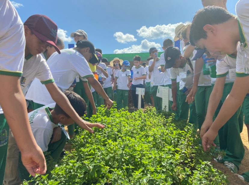 Com o tema agricultura familiar cerca de duas mil crianças conhecem estande da Prefeitura de Sinop na Norte Show