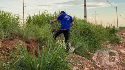 Trabalhador sente odor e encontra corpo em terreno baldio