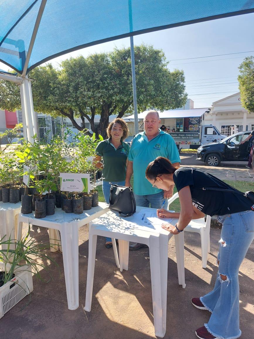 Meio Ambiente distribui 150 mudas de árvores em ação de conscientização