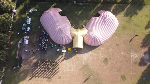 Prefeito abre Exposição do Pulmão Gigante; evento integra campanha do Mês do Meio Ambiente