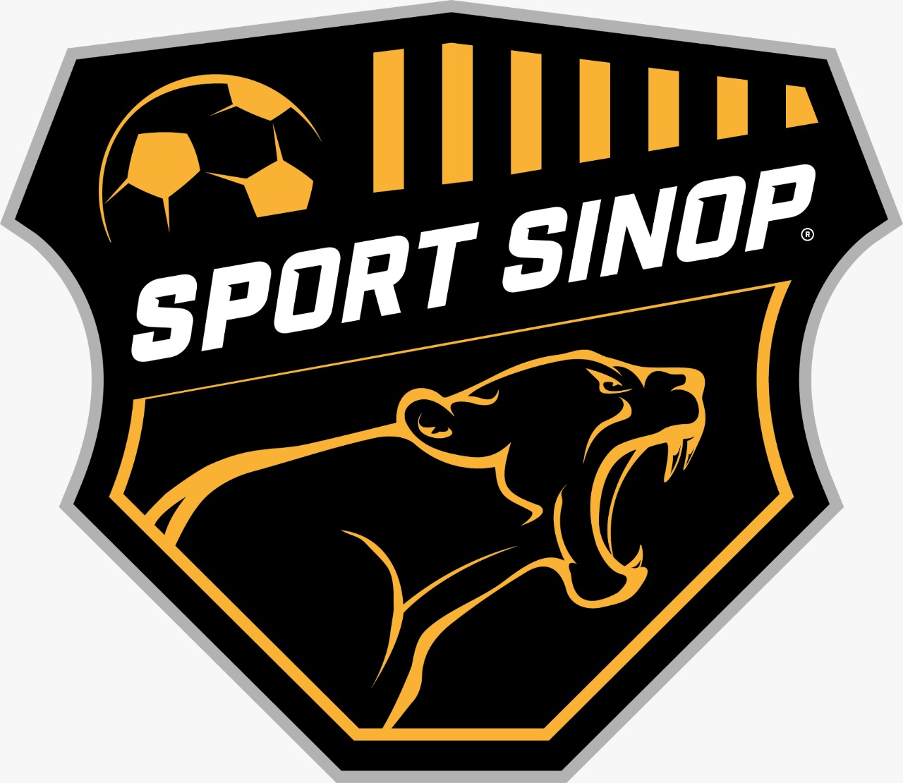 SPORT SINOP ANUNCIA COMISSÃO TÉCNICA!