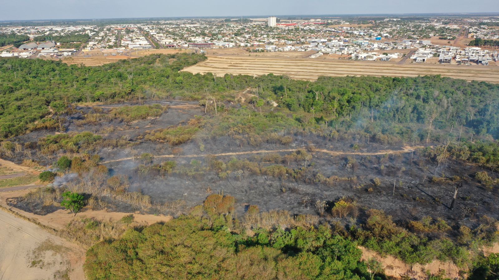 Após queimada destruir 12 hectares de reserva, prefeitura faz alerta sobre crime ambiental e avalia perdas