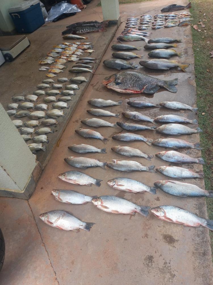 Polícia Civil apreende 74 quilos de pescado irregular em pesqueiro