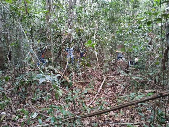 Trabalhador Morre Após Se Ferir Com Facão No Nortão