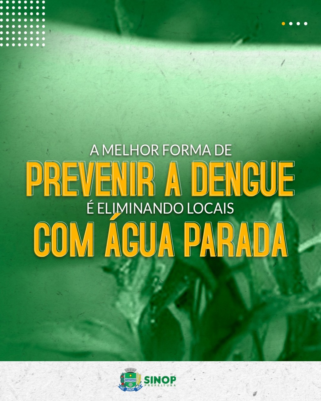 CAMPANHA: Colabore para eliminar o mosquito Aedes Aegypti