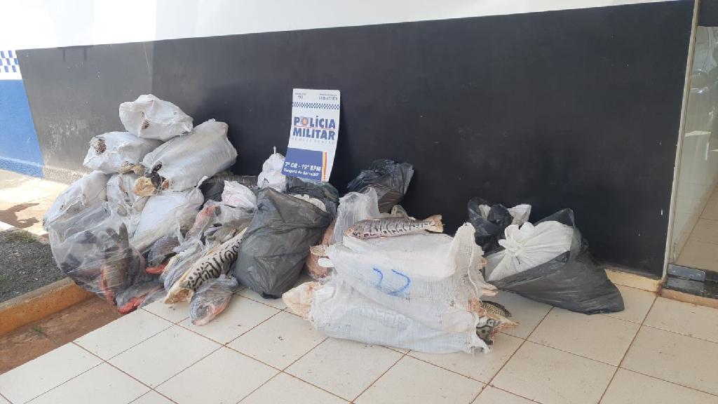 Polícia Militar apreende mais de 700 quilos de pescado irregular 