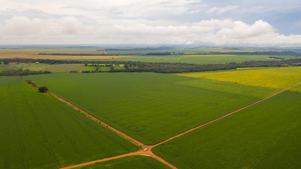 Mato Grosso se mantém na liderança nacional com 58% do CAR analisado