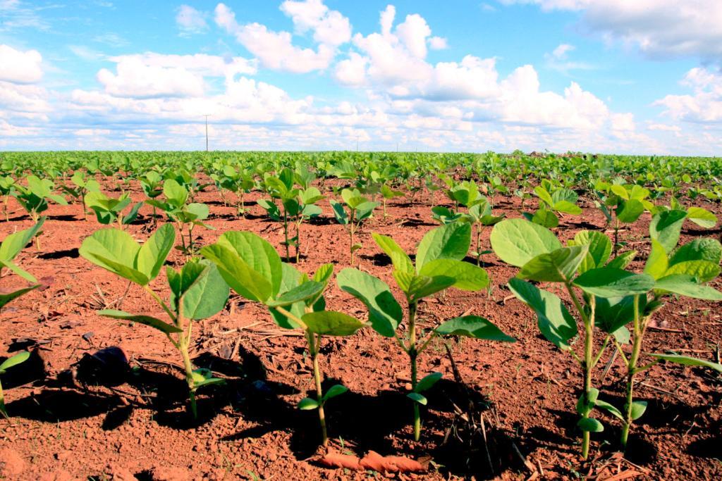 Carga tributária será de 2% na importação de insumos agrícolas a partir de 2023