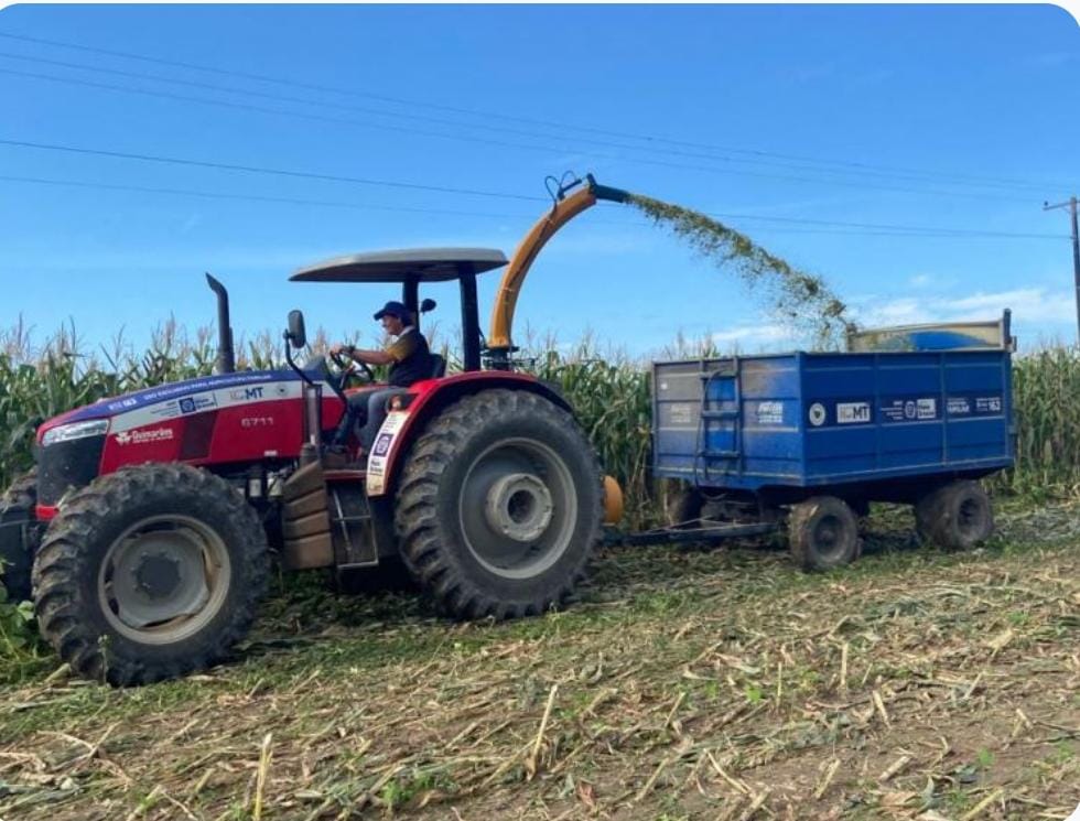 Serviço de silagem fornecido aos pequenos produtores é retomado após 6 anos