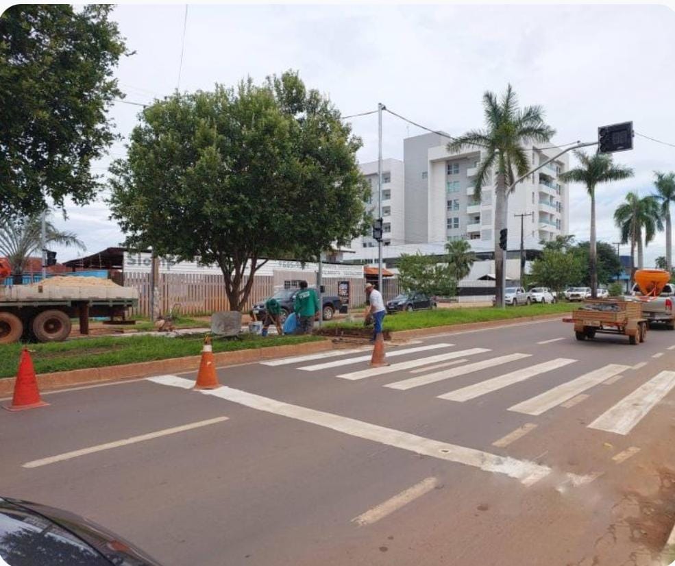 Secretaria de Trânsito liga amanhã (02) botoeira na Avenida dos Jacarandás