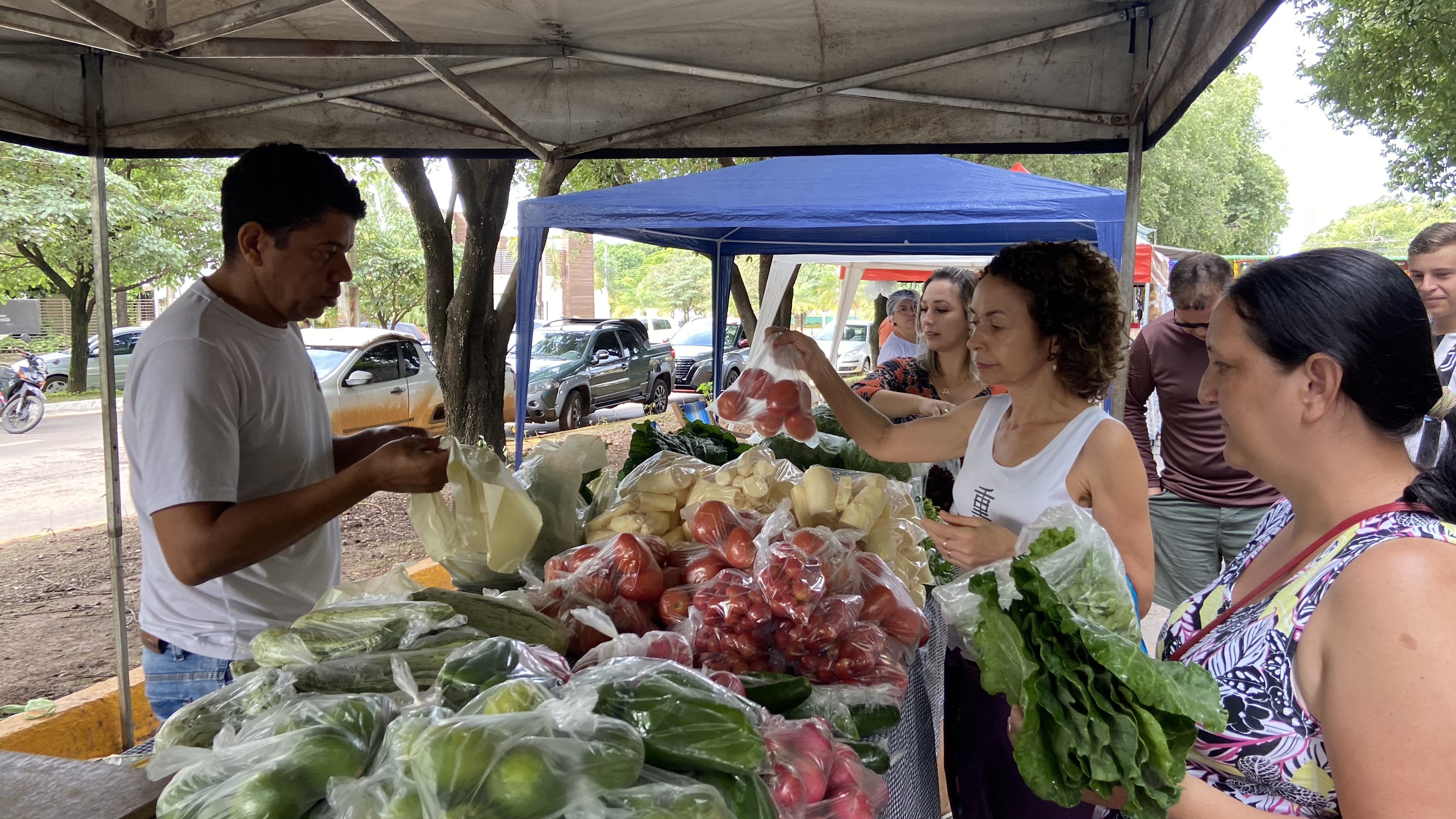 Feira da Família aos domingos faz sucesso com venda de produtos frescos e atrações culturais