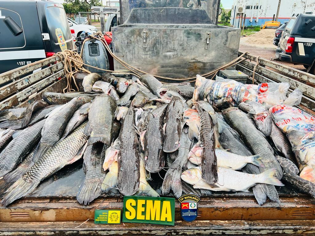 Sema-MT apreende 450 kg de pescado ilegal na primeira semana após fim da piracema