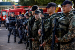 Operação é lançada e intensifica combate ao desmatamento ilegal